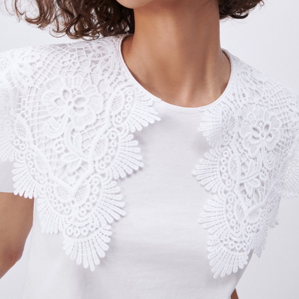 Peter pan collar tshirt with tonal lace applique. nwot